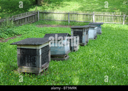 Il vecchio tipo di alveari, Parco Etnografico in Olsztynek, Polonia Foto Stock