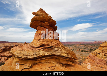 Bizzarro rock in un cappello forma, Coyote Buttes Sud, Paria Canyon-Vermilion scogliere deserto dello Utah, dell'Arizona, America Foto Stock