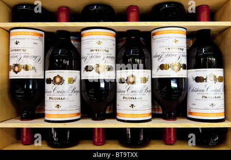 Casi di vino al "Francia Show' si tiene annualmente a Earls Court, Londra, 9 gennaio 2010. Foto Stock