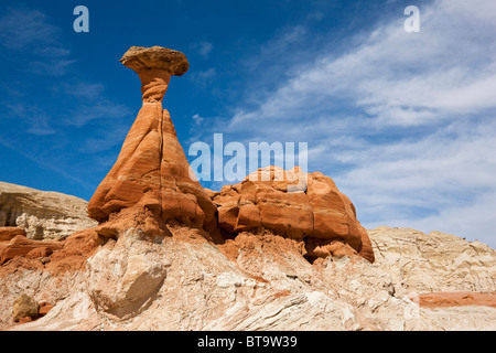 Toadstool Hoodoos, Scalone Escalante National Monument, Utah, America, STATI UNITI D'AMERICA Foto Stock