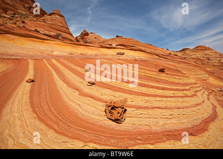 Rocce Boxwork, bizzarre formazioni rocciose in Coyote Buttes North, Paria Canyon-Vermilion scogliere deserto dello Utah, dell'Arizona, Stati Uniti d'America Foto Stock