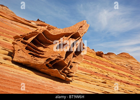 Rocce Boxwork, bizzarre formazioni rocciose in Coyote Buttes North, Paria Canyon-Vermilion scogliere deserto dello Utah, dell'Arizona, Stati Uniti d'America Foto Stock