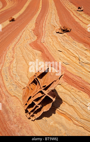 Rocce Boxwork, bizzarre formazioni rocciose in Coyote Buttes North, Paria Canyon-Vermilion scogliere deserto dello Utah, dell'Arizona, Stati Uniti d'America Foto Stock