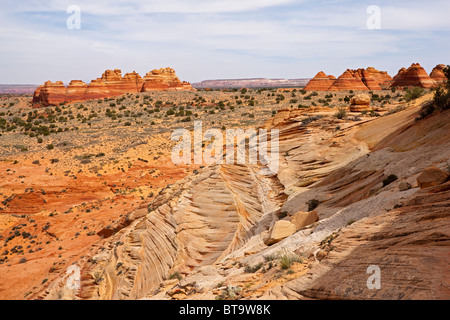 Sud Teepees, formazioni rocciose in Coyote Buttes North, Paria Canyon-Vermilion scogliere deserto dello Utah, dell'Arizona, Stati Uniti d'America Foto Stock