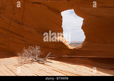 Melody Arch, Coyote Buttes North, Paria Canyon-Vermilion scogliere deserto dello Utah, dell'Arizona, Stati Uniti d'America Foto Stock