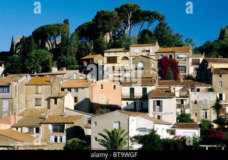 Bormes-les-Mimosas, Provence-Alpes-Côte d'Azur, Var, Francia meridionale, Francia, Europa Foto Stock