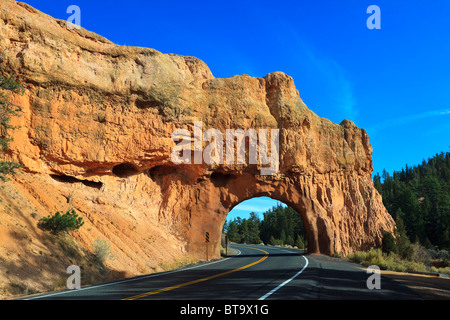 Rocce Rosse nella Red Canyon, Hillsdale, Panguitch, Utah, Stati Uniti d'America, America del Nord Foto Stock