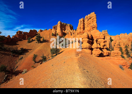 Rocce Rosse nella Red Canyon, Hillsdale, Panguitch, Utah, Stati Uniti d'America, America del Nord Foto Stock