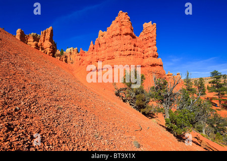 Rocce Rosse nella Red Canyon, Hillsdale, Panguitch, Utah, Stati Uniti d'America, America del Nord Foto Stock