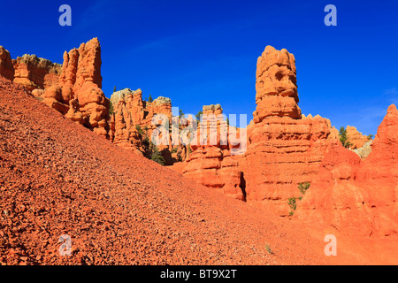 Rocce Rosse nella Red Canyon, Hillsdale, Panguitch, Utah, Stati Uniti d'America, America del Nord Foto Stock