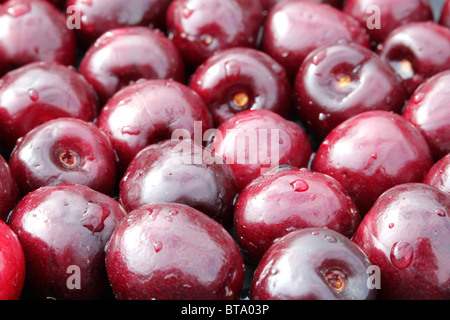 Dolce Rosso ciliegio (Prunus avium) collocato insieme ad un background - messa a fuoco centrale Foto Stock