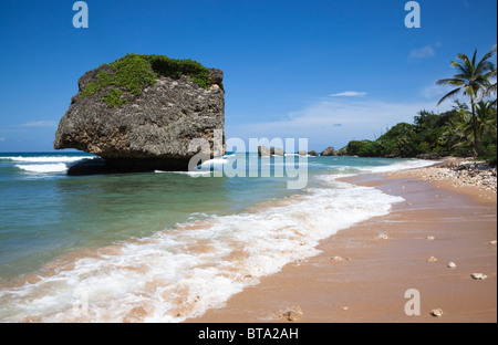 Roccia del fungo, Betsabea, Barbados, West Indies. La roccia è famosa per l'erosione sulla sua base creando la forma inusuale. Foto Stock