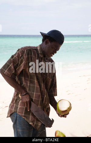 Local uomo nero su una spiaggia caraibica, Barbados, taglio di noci di cocco fresco con un machete, in modo tale che egli può vendere il latte Foto Stock