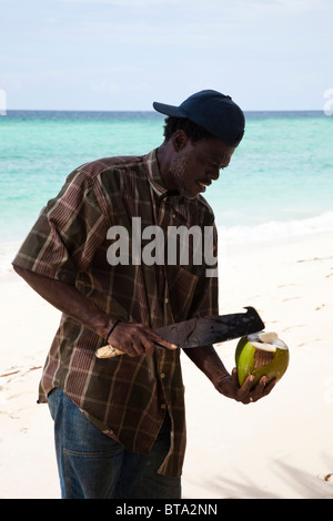 Local uomo nero con machete taglio noci di cocco fresco in modo tale che egli può vendere il latte. Barbados. Indie occidentali Foto Stock