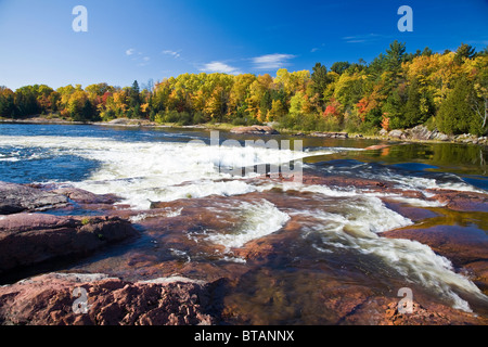 Alberi colorati e rocce al fiume Mississagi e rapide in autunno vicino al fiume cieco sull'autostrada #17 in Ontario, Canada Foto Stock