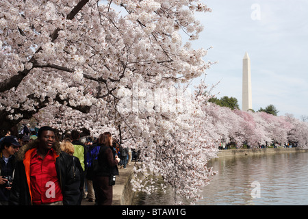 I turisti passeggiare intorno al bacino di marea in Washington, DC durante la fioritura primaverile dei ciliegi. Foto Stock