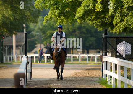 Corsa di cavalli fuori per la mattina presto allenamento, Saratoga Springs, New York Foto Stock