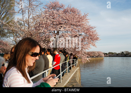 I turisti passeggiare intorno al bacino di marea in Washington, DC durante la fioritura primaverile dei ciliegi. Foto Stock