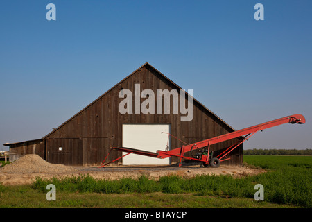 Un vecchio fienile con una nuova porta e un trasportatore di fronte in Modesto California Foto Stock