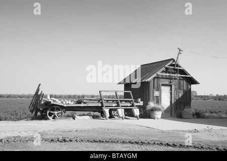 Una vecchia capanna e carri su un modesto California farm Foto Stock