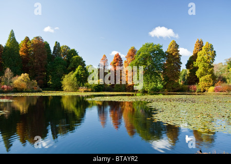 Colori autunnali a Marshalls Lago in Bedgebury Pinetum nazionale Foto Stock