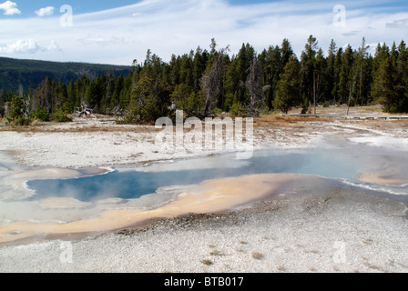 Sorgenti termali e piscine in Old Faithful Geyser Basin presso il Parco Nazionale di Yellowstone in Wyoming, Stati Uniti Foto Stock