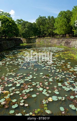 Ninfee nel fossato, Tomba dell'Imperatore Lang Tu Doc, città imperiale di Hue, Vietnam del Nord Foto Stock