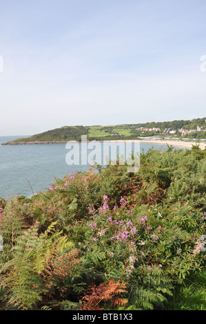 Gower sentiero costiero vicino Langland bay SwanseaWest Glamorgan Gower Galles del Sud Foto Stock