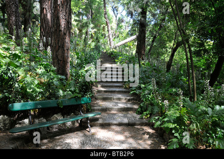 Il percorso sotto gli alberi del giardino botanico di Lisbona, Portogallo. Foto Stock