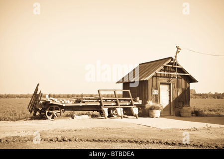 Una vecchia capanna e carri su un modesto California farm Foto Stock