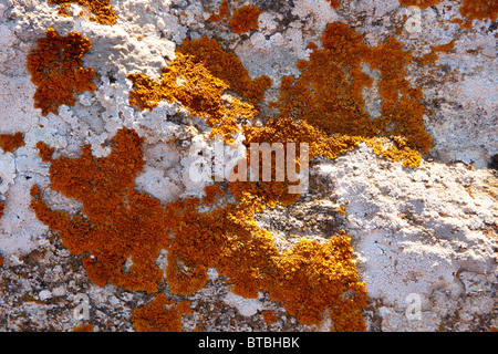 La piena immagine di frame di pietra naturale per sfondo testurizzata Foto Stock