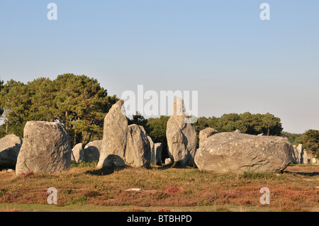 Il comitato permanente delle pietre di Carnac, Brittany, Francia Foto Stock