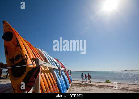 Kayaks colorate allineate sulla spiaggia pronto per l'affitto. Foto Stock