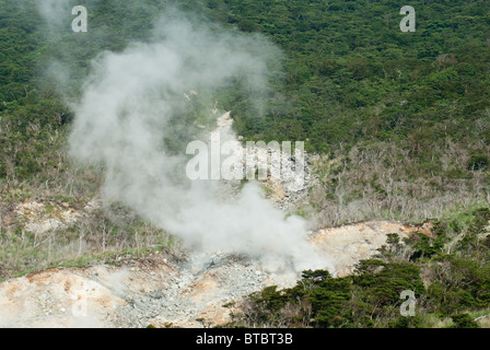 Il vapore in aumento in Owakudani, Fuji-Hakone Parco Nazionale Foto Stock