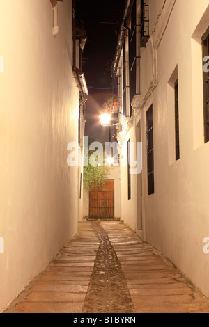 Strada tradizionale nel vecchio quartiere ebraico di Cordoba, Spagna di notte Foto Stock