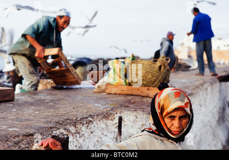 Una donna si trova di fronte dei pescatori lo svuotamento delle loro catture, porto di Essaouira, Marocco Foto Stock