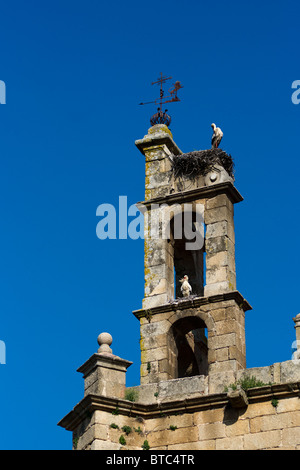 La nidificazione delle cicogne sulla torre di Casa y torre de las sigüenas casa in Cáceres (Estremadura, Spagna) Foto Stock