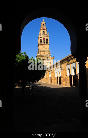 La torre campanaria-minareto della Mezquita Moschea e la cattedrale di Cordoba, Spagna Foto Stock