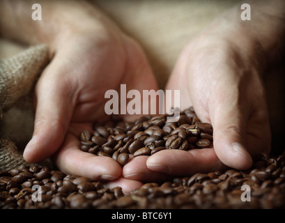 Mano che tiene i chicchi di caffè Foto Stock