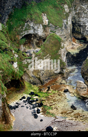 Bianche rocce Portrush, County Antrim Foto Stock