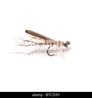 Schiuma Daddy Long legs o gru volare la pesca alla trota volare. Isolato su un bianco di sfondo per studio. Foto Stock