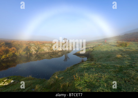 Nebbia in prua la Elan Valley, POWYS, GALLES Foto Stock