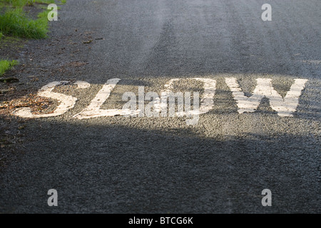 Cartello stradale, lento. Attenzione ai veicoli che sopraggiungono su un pendio. Lancashire, Inghilterra, Regno Unito Foto Stock