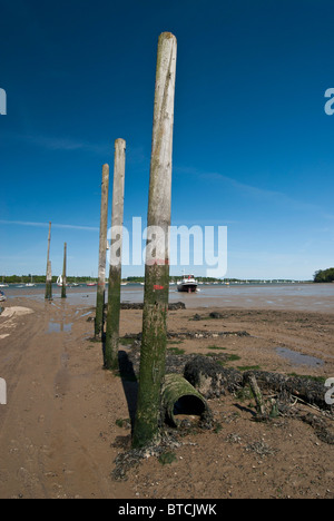 In legno posti di ormeggio sul fiume Orwell, Pin Mill, Suffolk. Tide. La molla Foto Stock