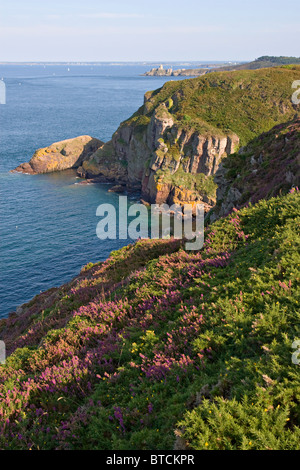 Vista panoramica delle scogliere in costa della Bretagna, Pointe de Pen-Hir, Francia Foto Stock