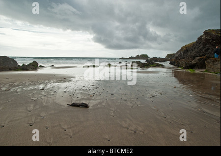 Spiaggia a filamento lungo, West Cork Foto Stock