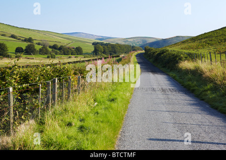 Strada nelle Lammermuir Hills, Scottish Borders Foto Stock