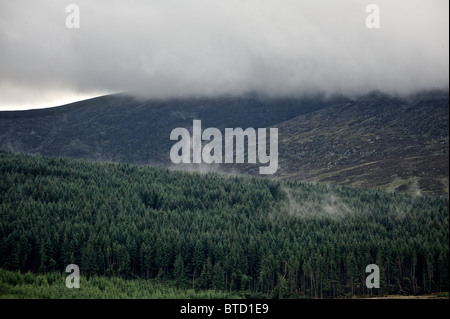 Aprire collina nel Queens modo Country Park, Dumfries & Galloway. Scozia Foto Stock