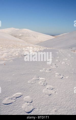 Orme nella neve su Coledale Hause tra le montagne nel Lake District inglese Foto Stock