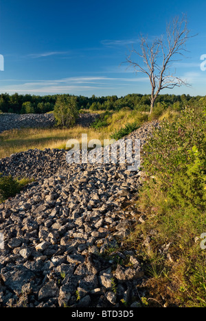 Anello vicino a Fort Village Valjala a isola Saarema, Estonia Foto Stock